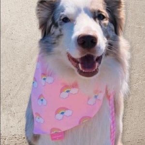 Stoney Clover Lane Limited Edition Reversible Pet Bandana